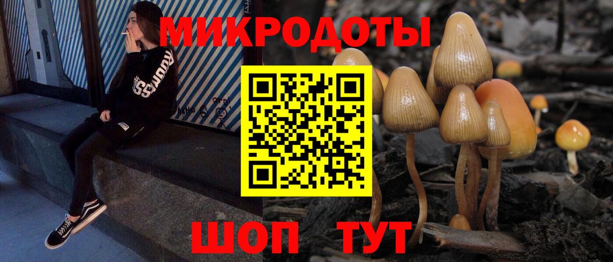 Галлюциногенные грибы Magic Shrooms  Вход с VPN  Владимир 